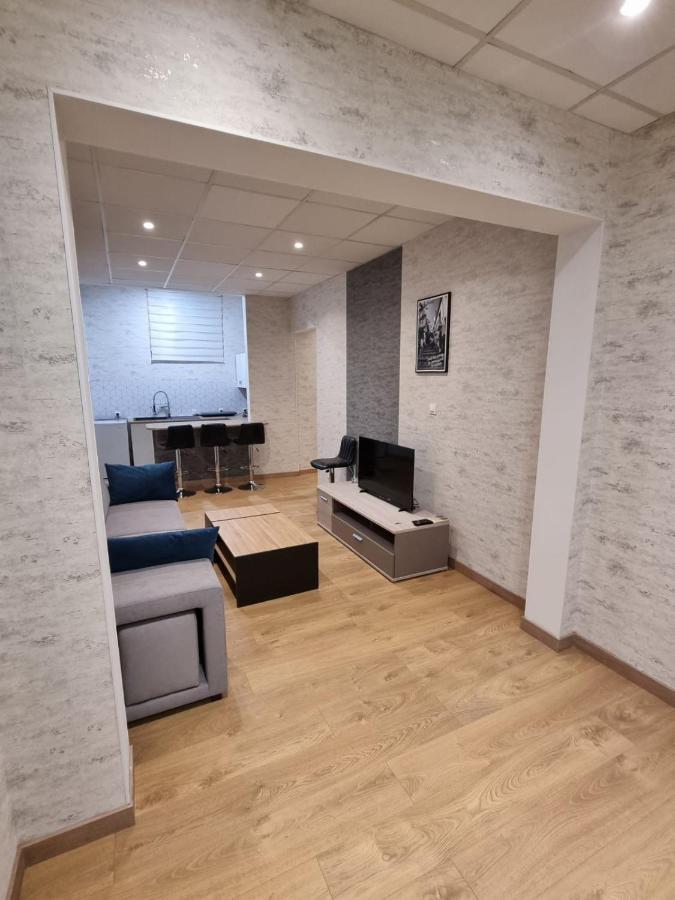 Appartement Centre Ville Chalon-sur-Saône Εξωτερικό φωτογραφία